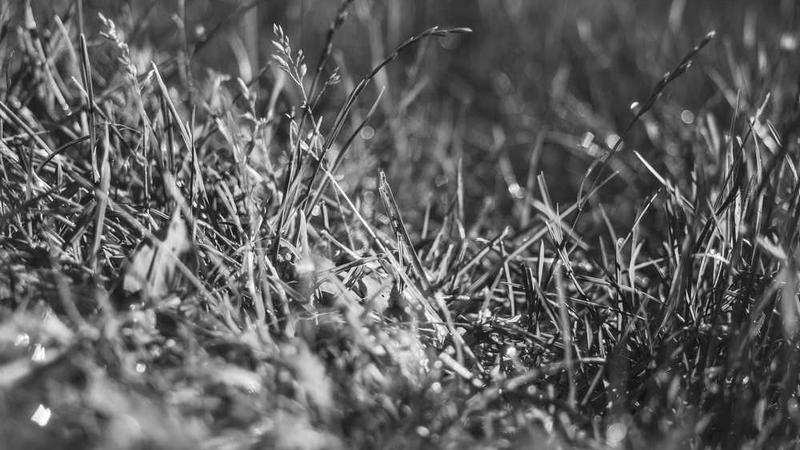 【QT开发笔记-基础篇】| 第六章 绘图 | 6.2.2 新建项目、界面布局